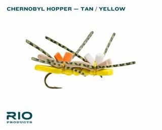 Rio Terrestrial Assortment
