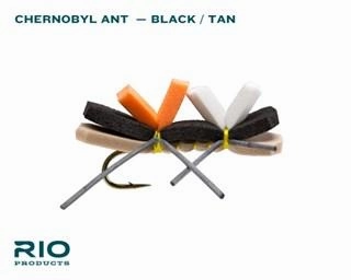 Rio Terrestrial Assortment