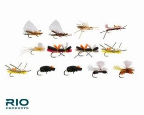 Rio Terrestrial Assortment