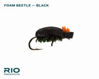 Rio Terrestrial Assortment