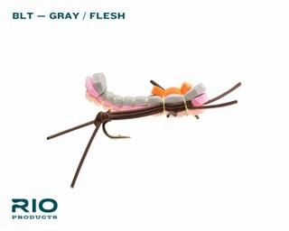 Rio Terrestrial Assortment