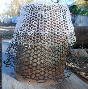 Rising Replacement Net Bag - Brookie