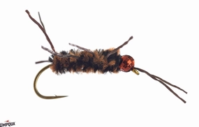 Rubberlegs Tungsten Jig Nymph
