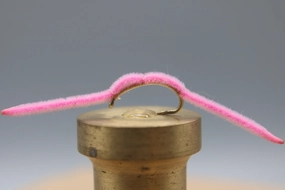 San Juan Worm