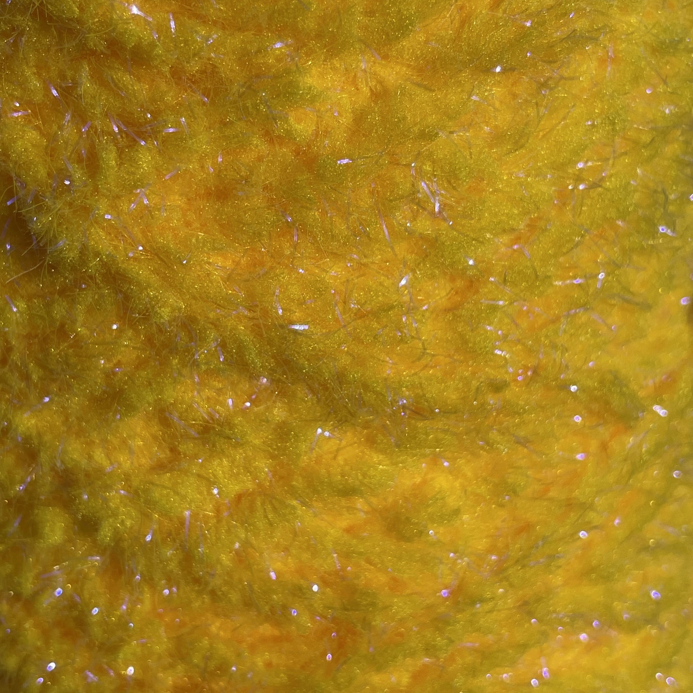 Semperfli EggStatic Egg Fritz 15mm