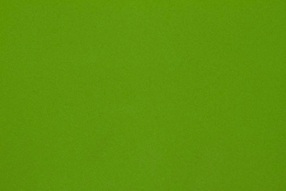 Semperfli Flat Foam