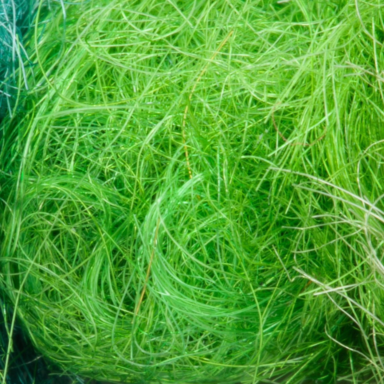 Semperfli SemperSeal Dubbing