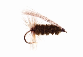 Sheep Creek Special  Size 8