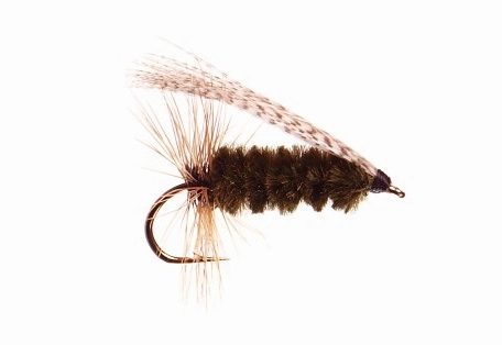 Sheep Creek Special  Size 8