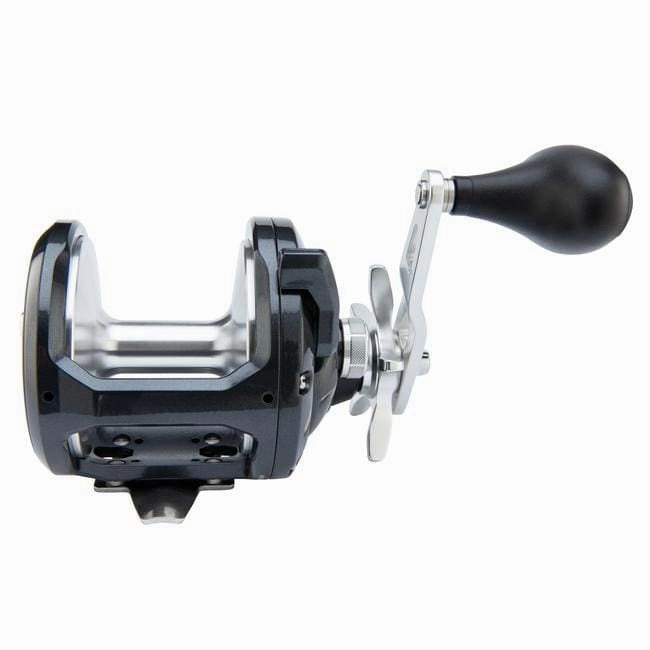 Shimano Torium Star Drag Conventional Reels