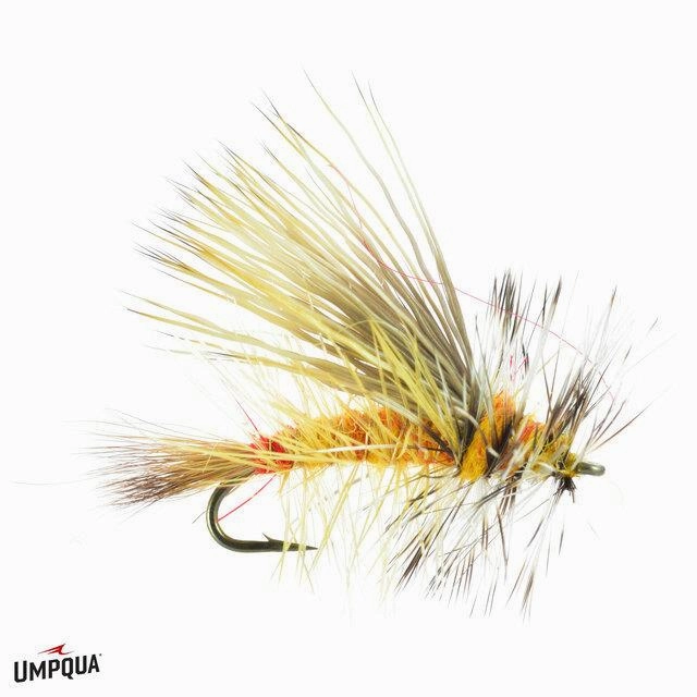 Silvey's Yellow Sally