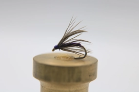 Starling and Purple Wet Fly