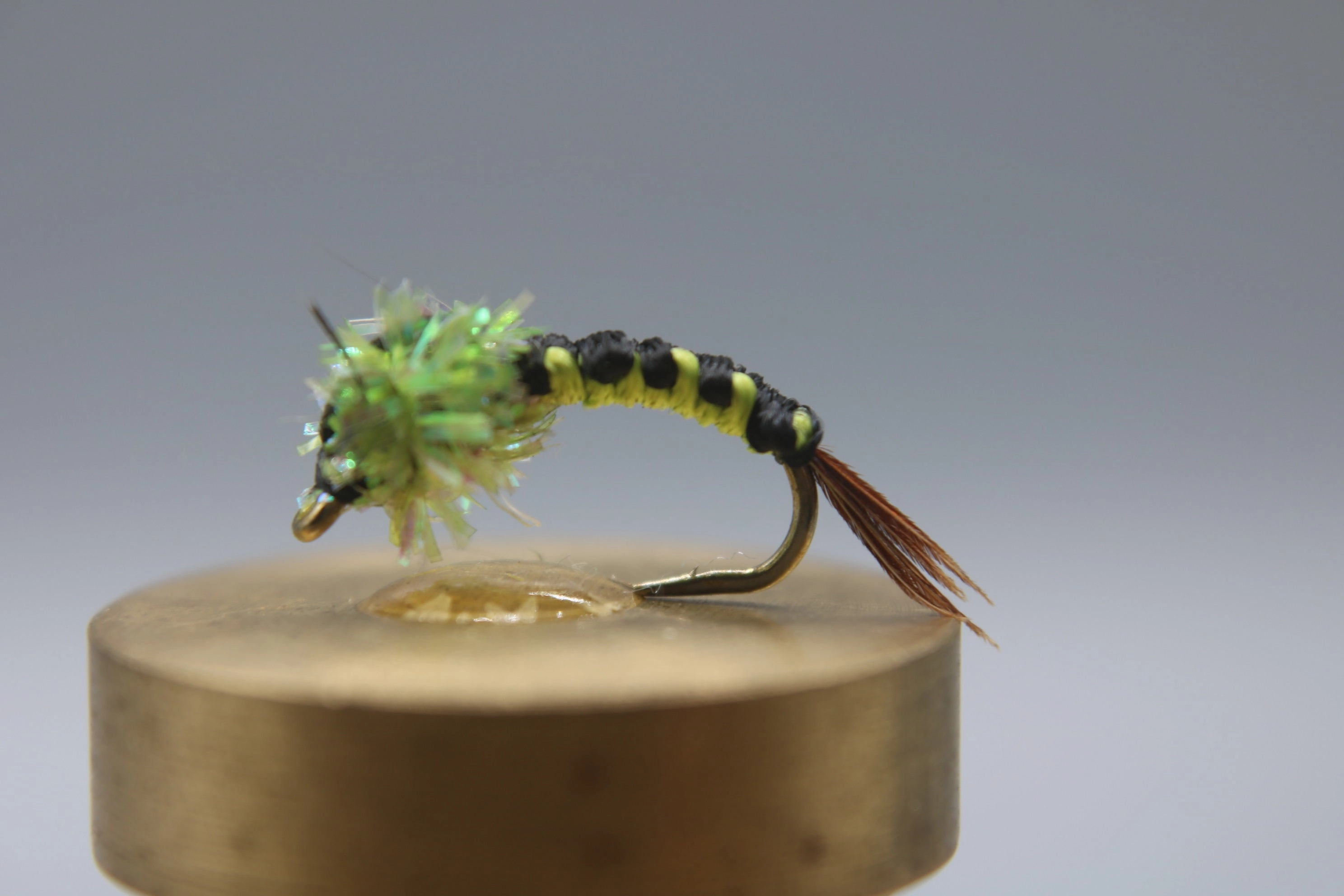 Steel Hammer Stonefly