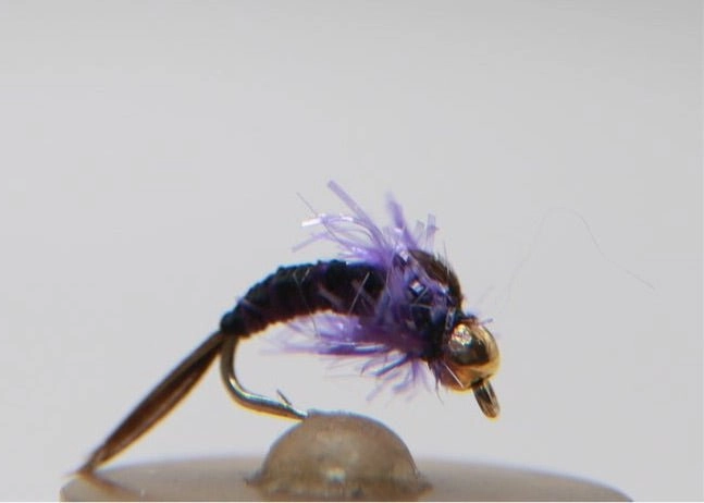 Steel Hammer Stonefly