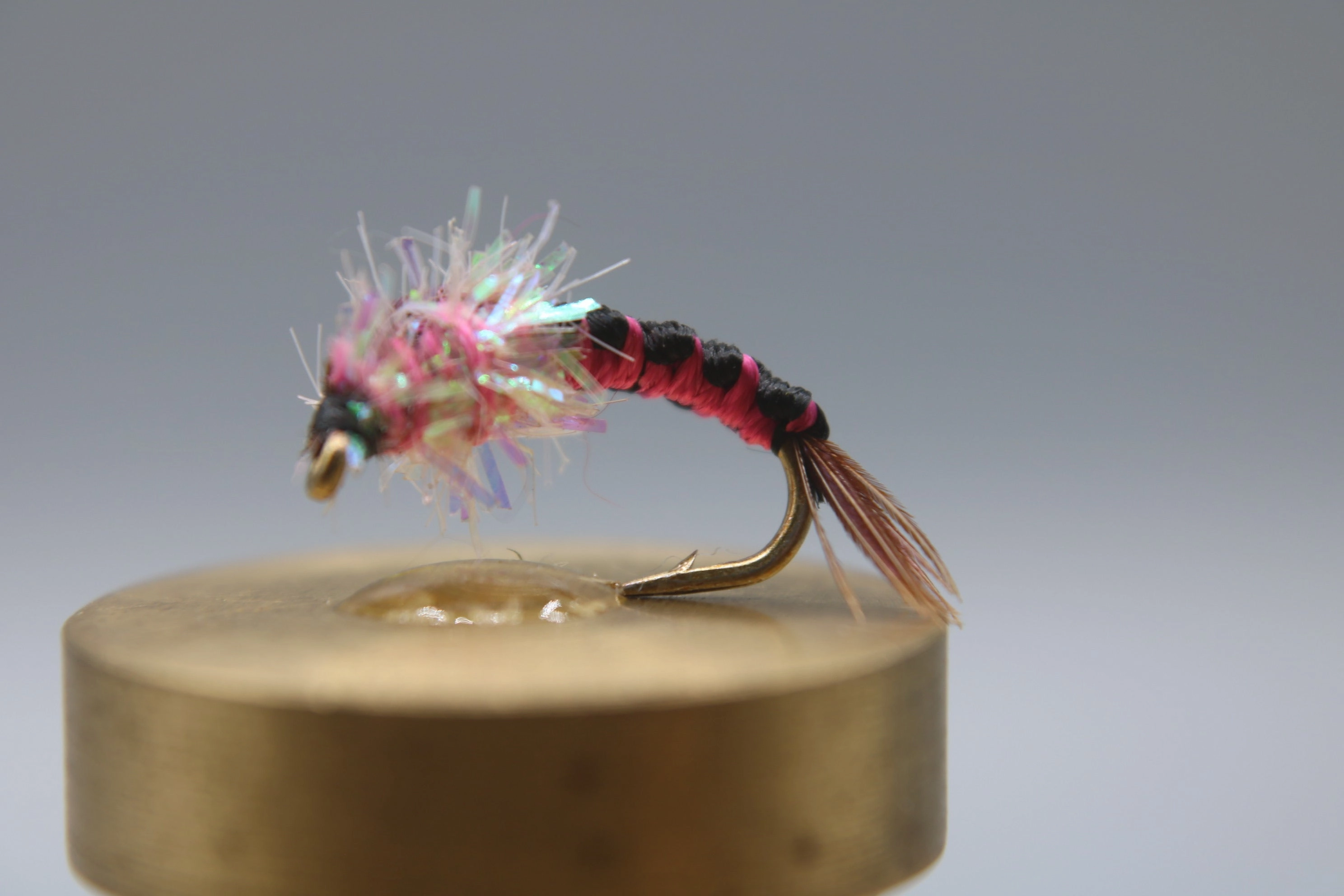 Steel Hammer Stonefly