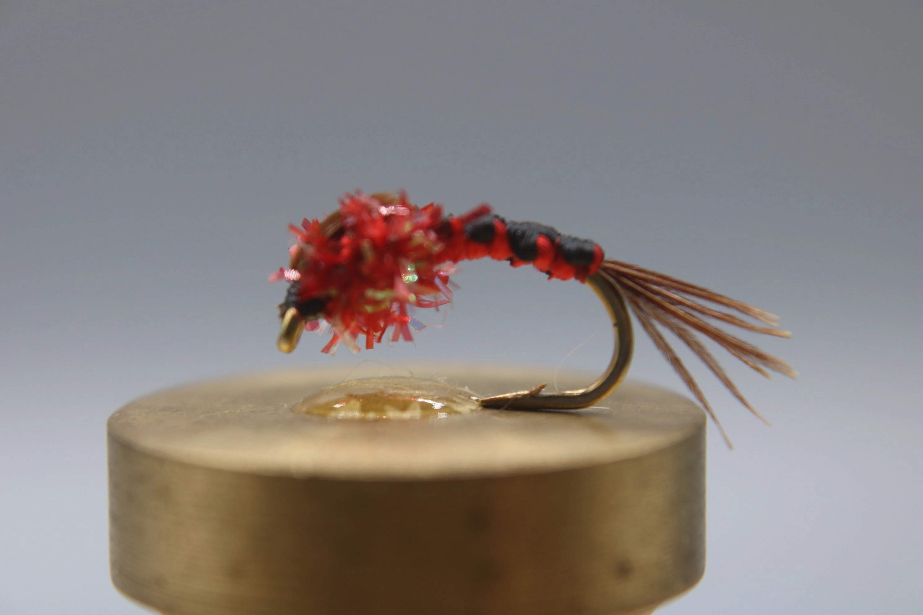 Steel Hammer Stonefly
