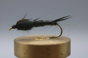 Stonefly Nymph