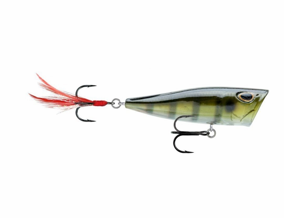 Storm Arashi Cover Pop 3 1/8 inch Topwater Popper
