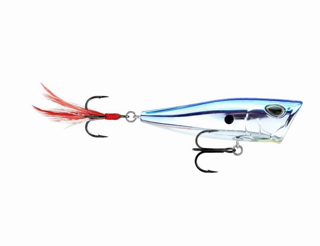 Storm Arashi Cover Pop 3 1/8 inch Topwater Popper
