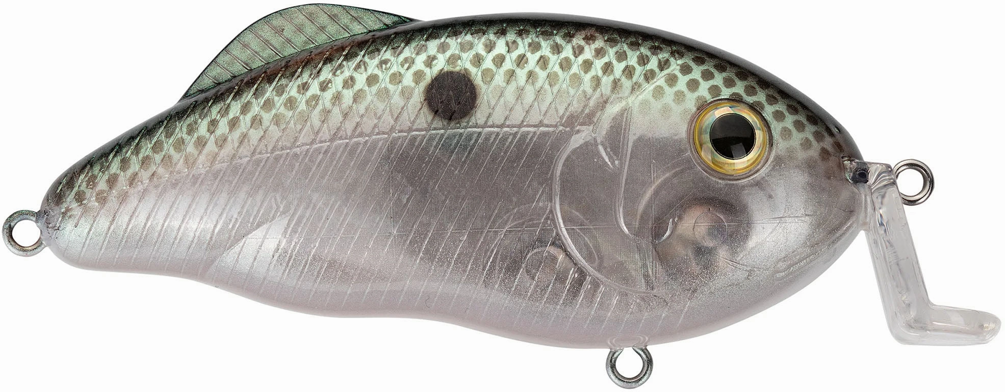 Strike King Hybrid Hunter Shallow Crankbait