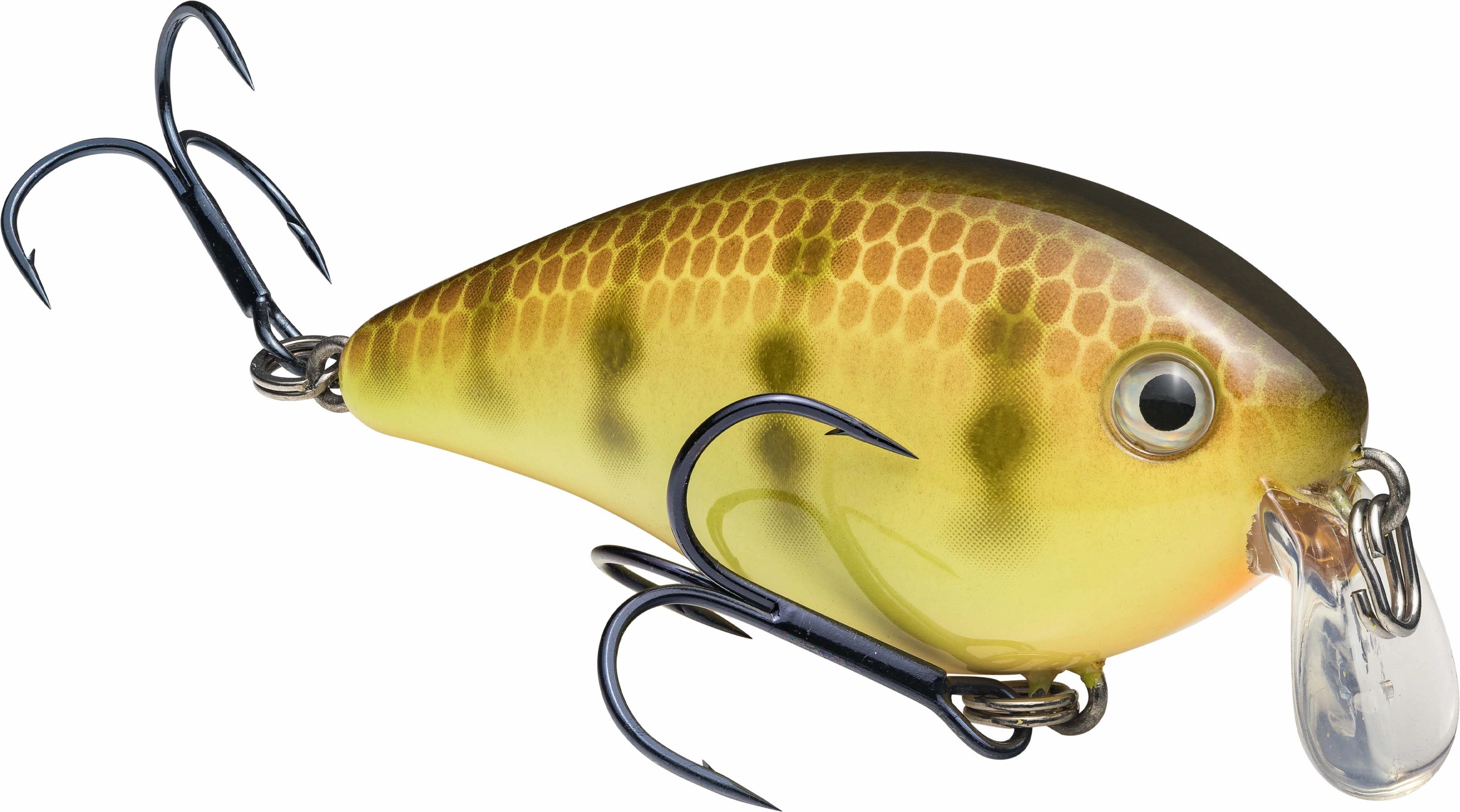 Strike King KVD Square Bill 1.5 Shallow Silent Crankbait