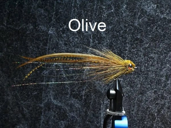 Striper Dragon