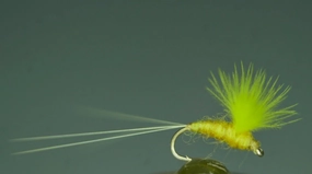Sulphur CDC Comparadun Dry