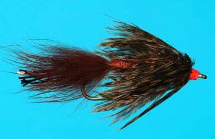 Swimming Carp Nymph