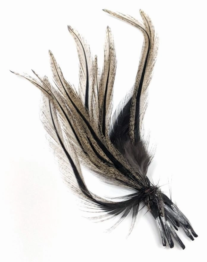 UV2 Coq de Leon Perdigon Fire Tail Feathers