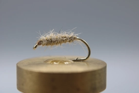 Walts Worm