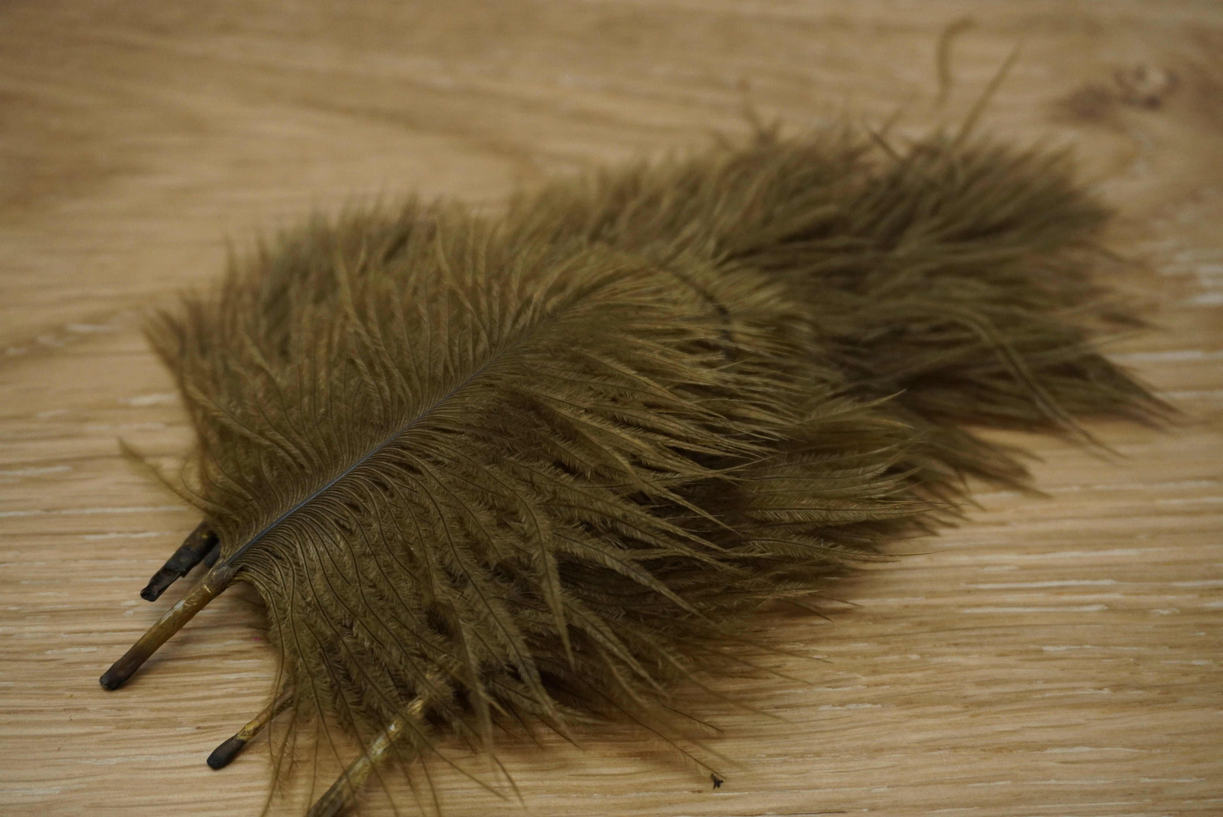 Wapsi Ostrich Marabou