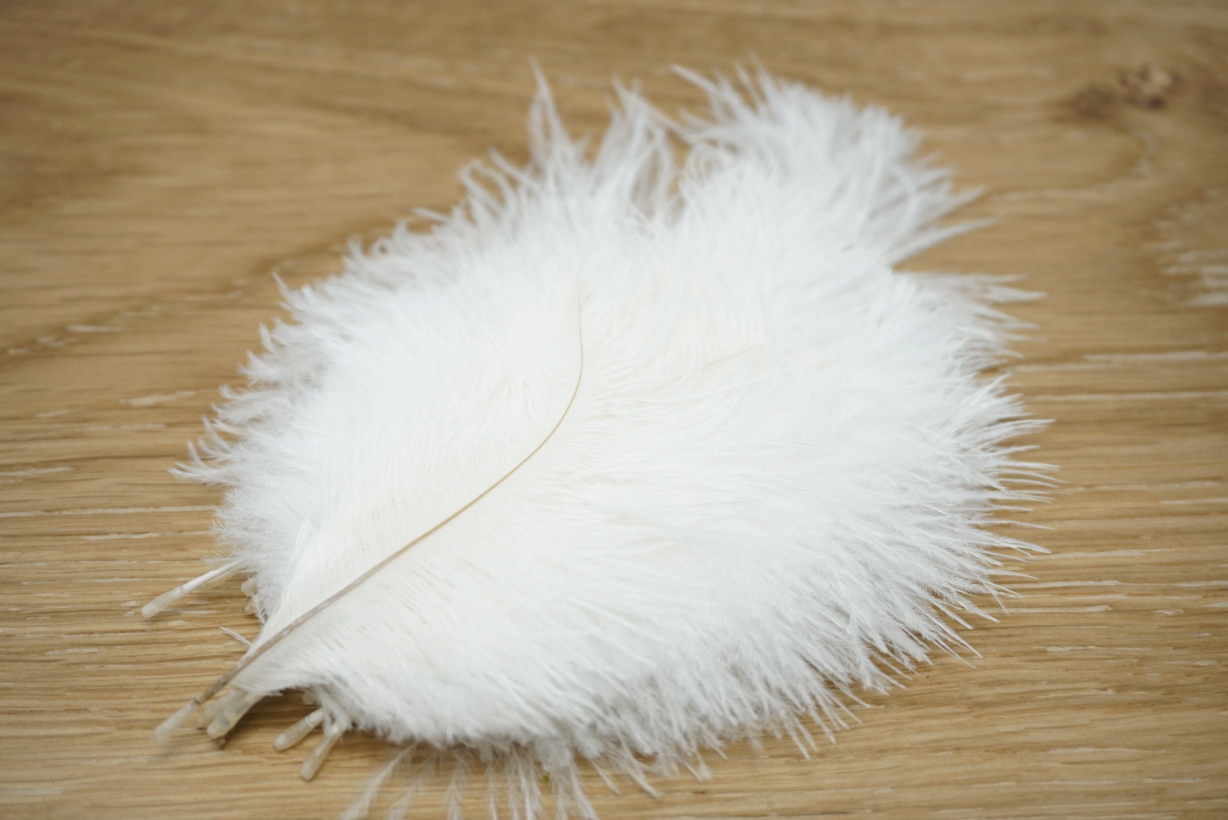 Wapsi Ostrich Marabou