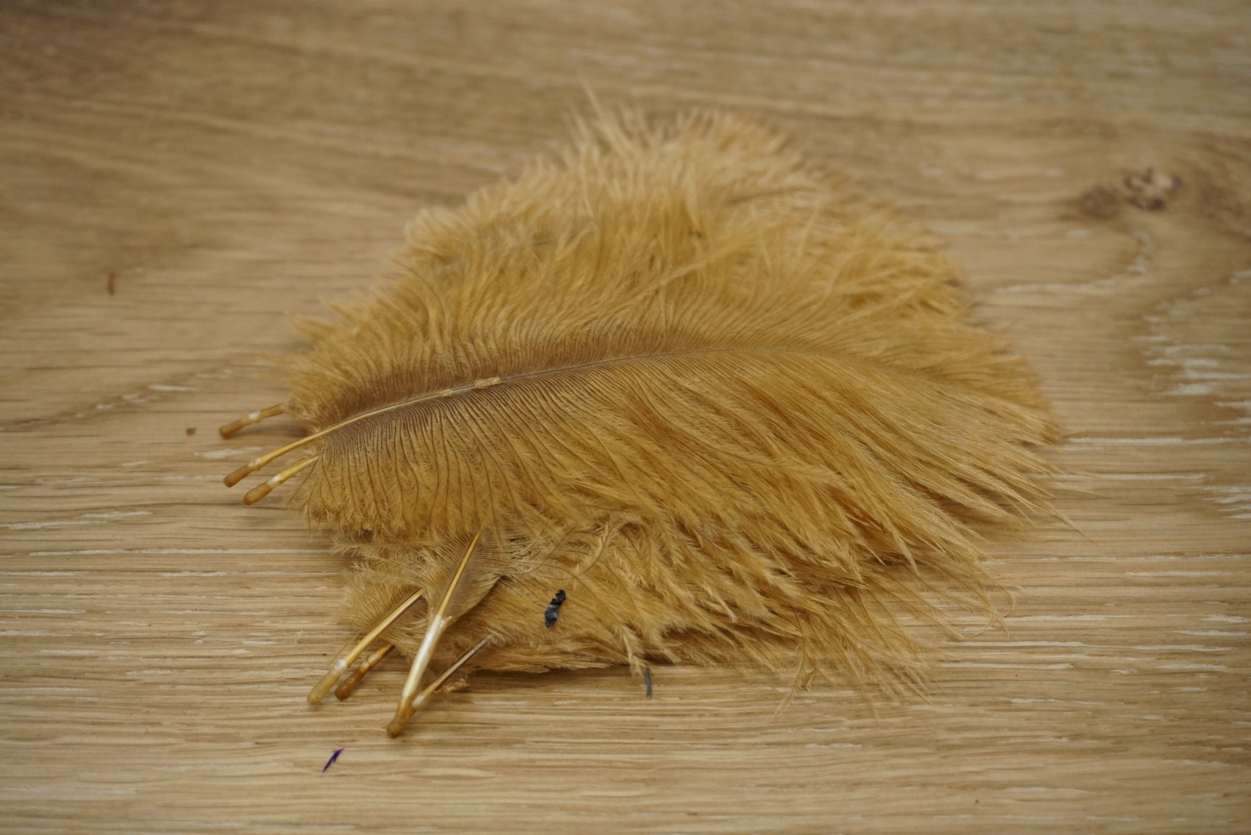 Wapsi Ostrich Marabou