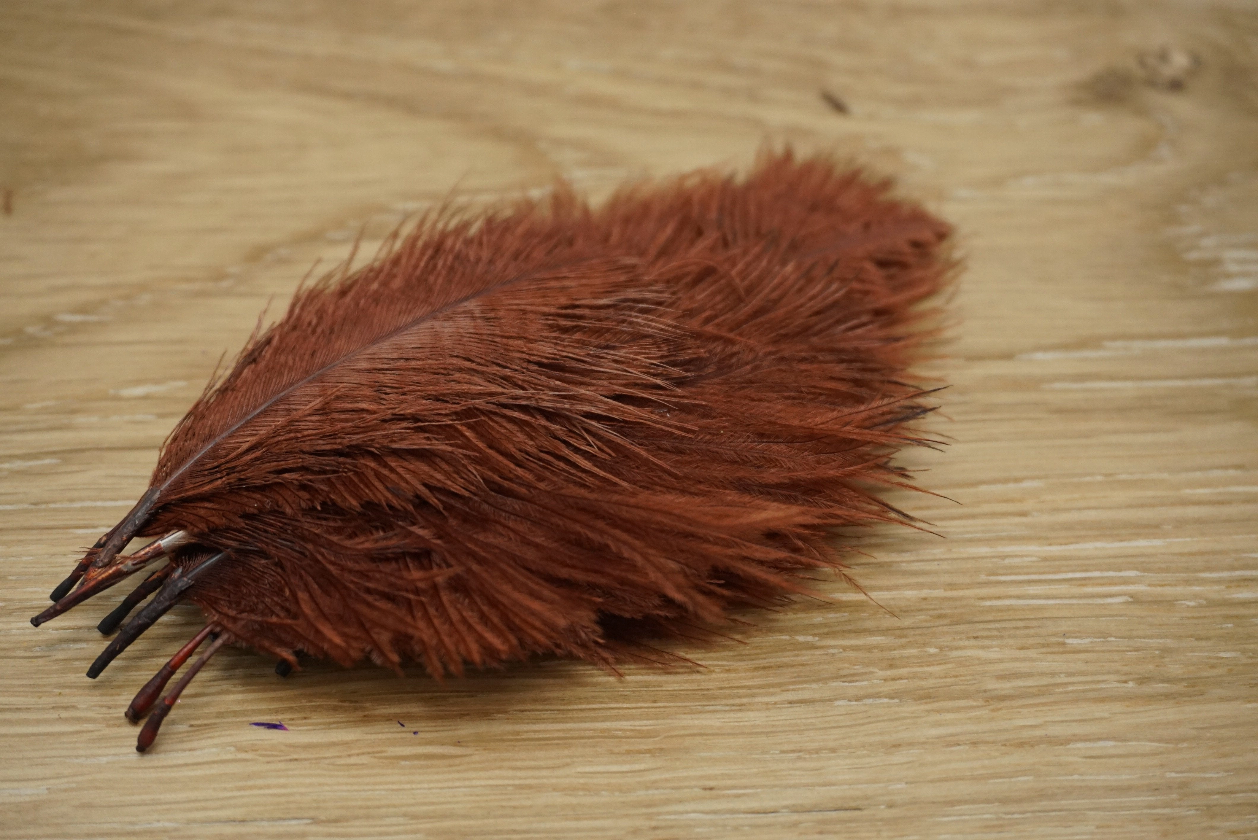 Wapsi Ostrich Marabou