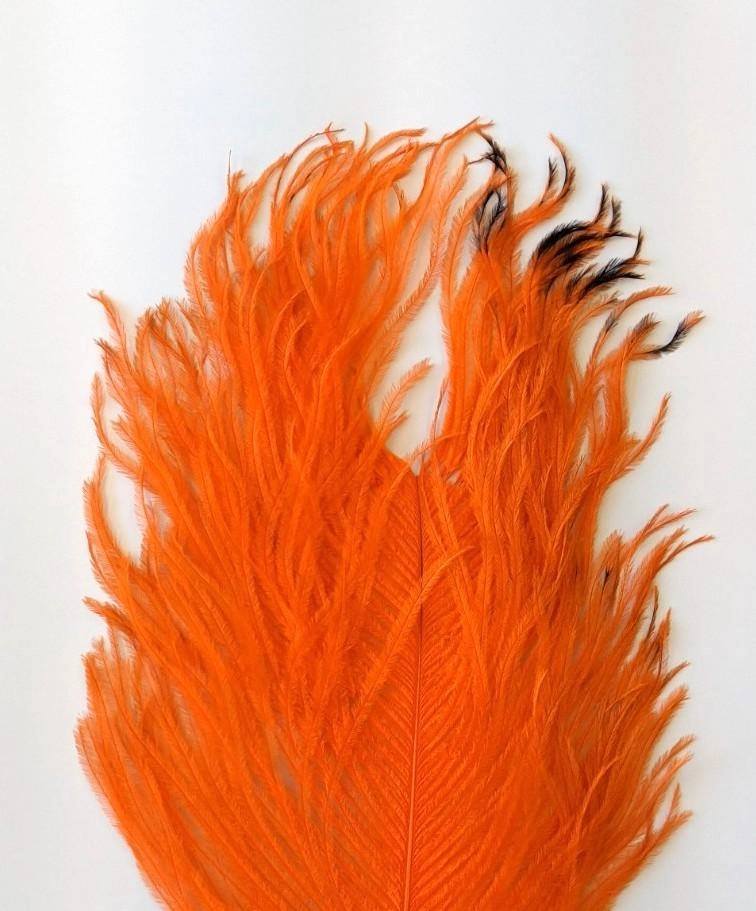 Wapsi Ostrich Plumes