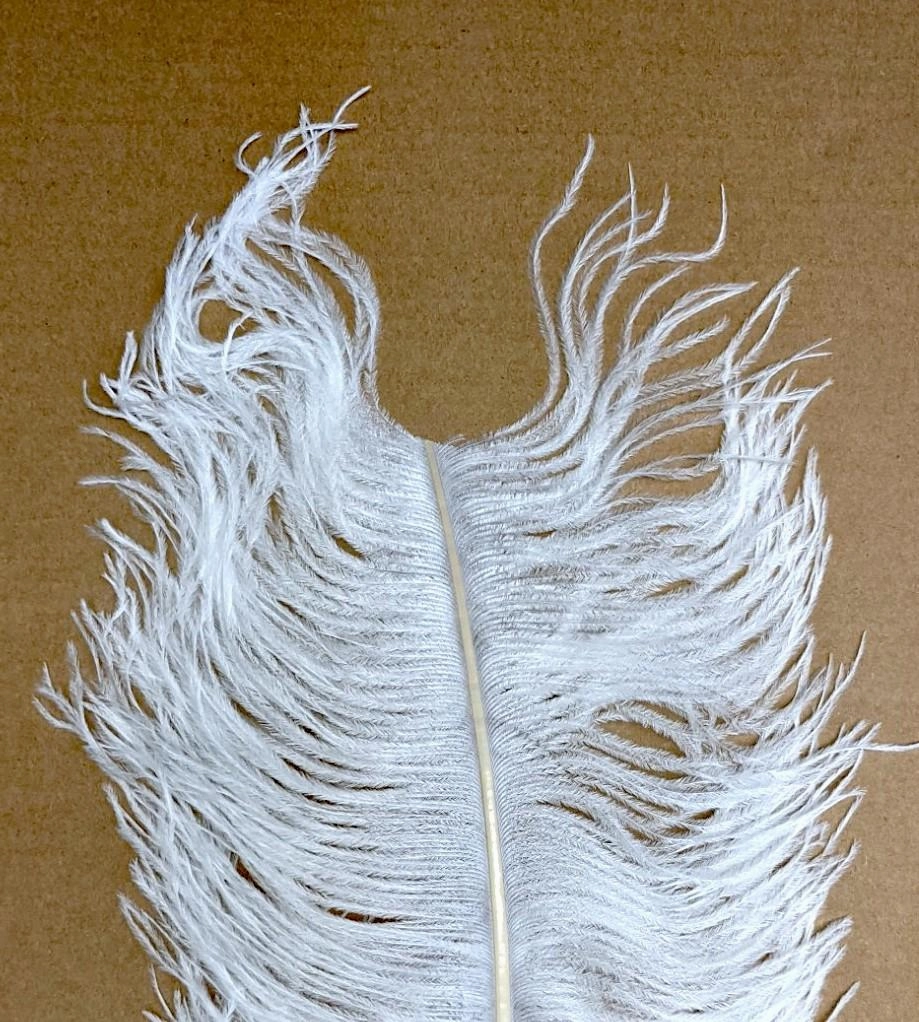 Wapsi Ostrich Plumes