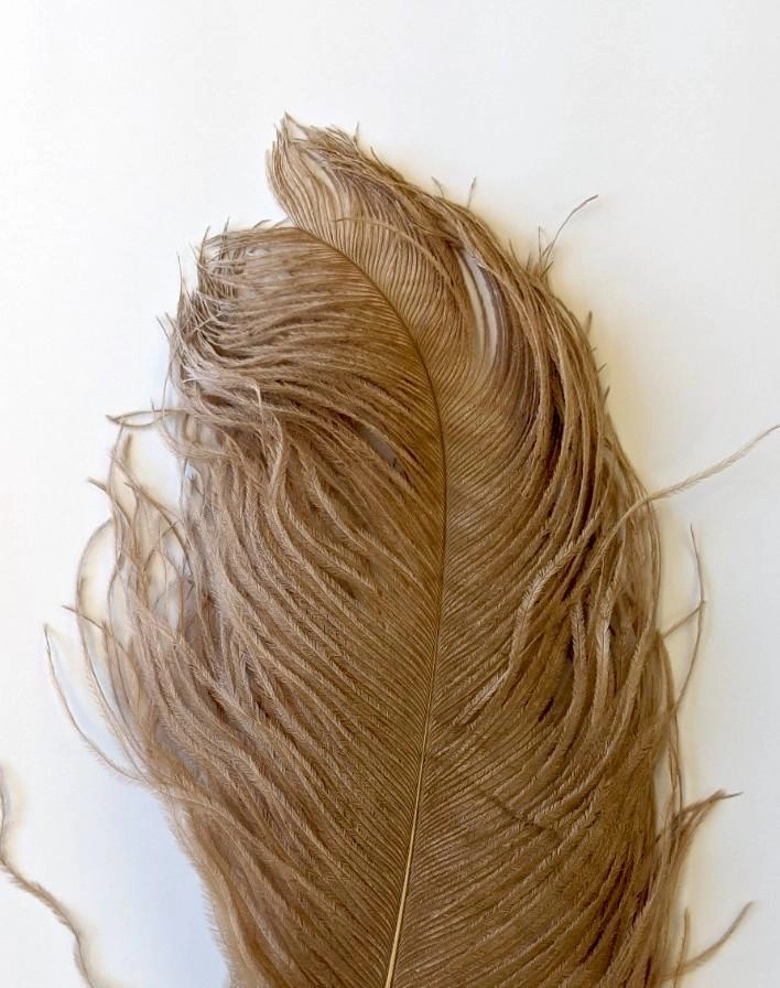 Wapsi Ostrich Plumes
