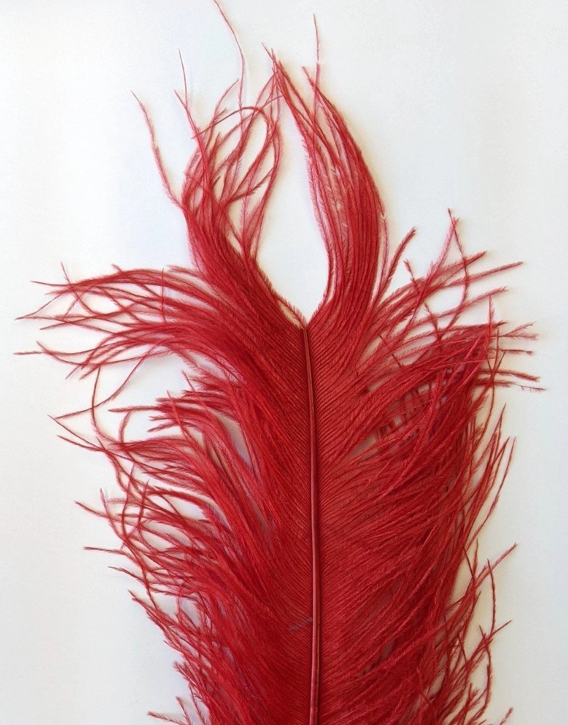 Wapsi Ostrich Plumes