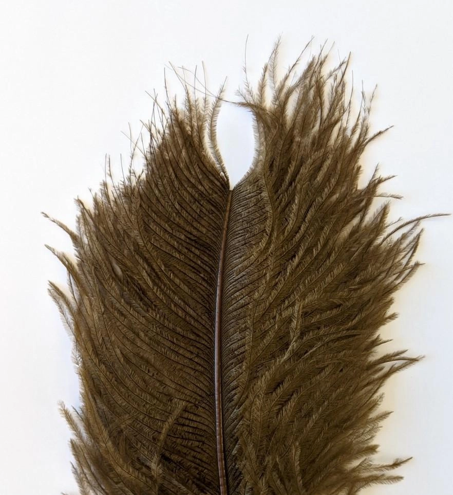 Wapsi Ostrich Plumes