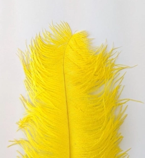 Wapsi Ostrich Plumes