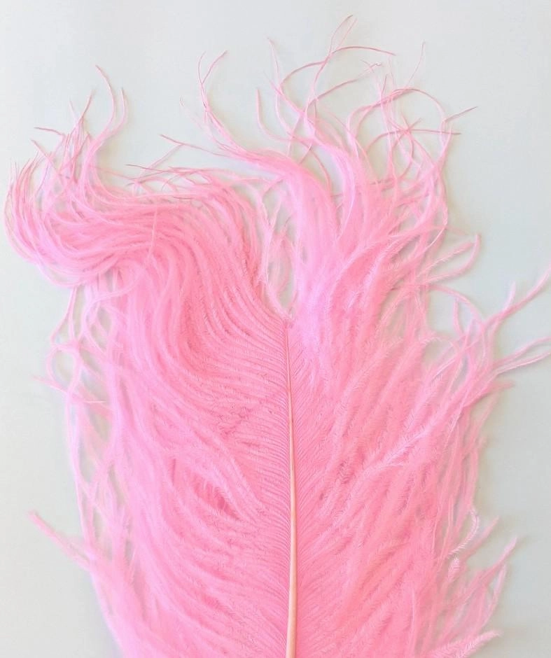 Wapsi Ostrich Plumes