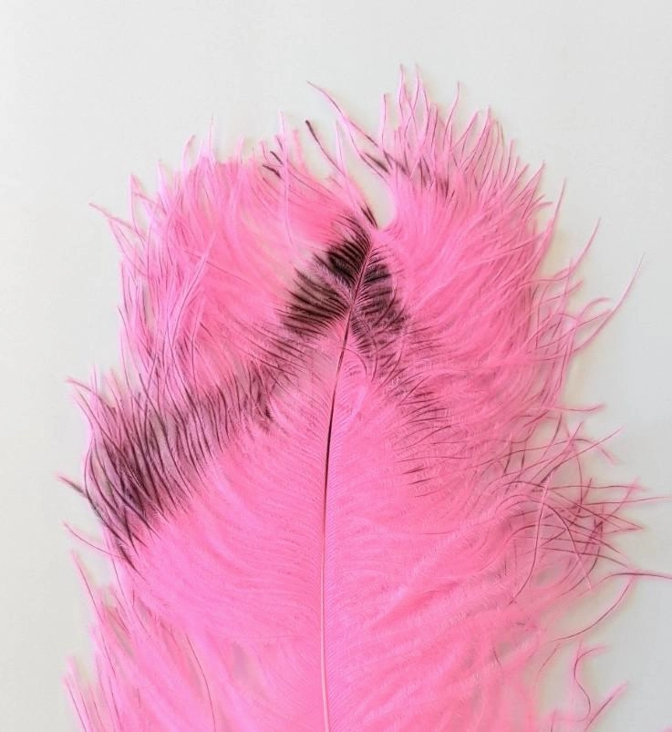 Wapsi Ostrich Plumes