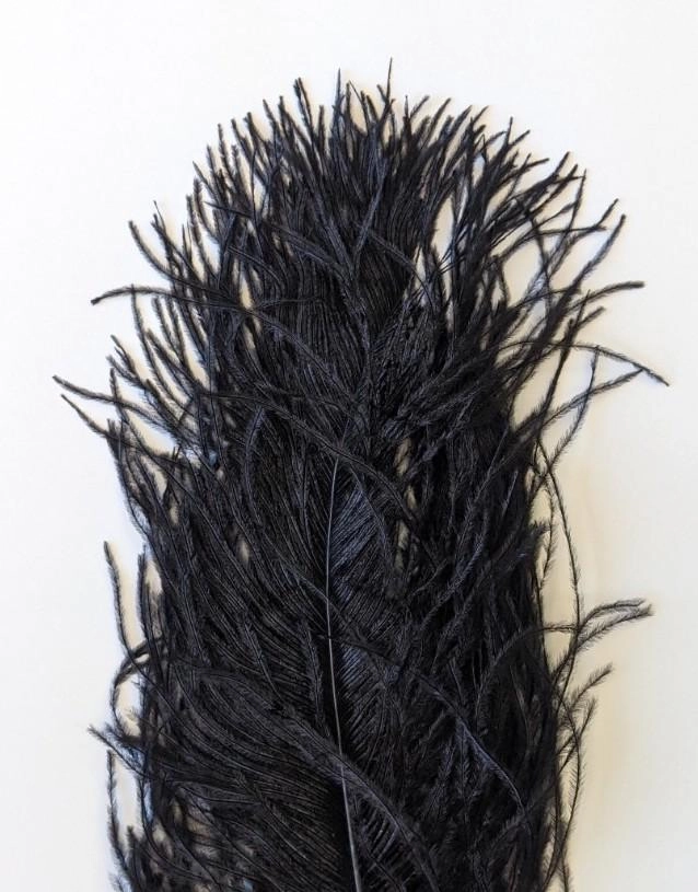 Wapsi Ostrich Plumes