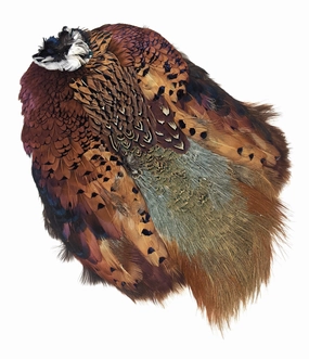 Wapsi Ringneck Pheasant Skin Natural