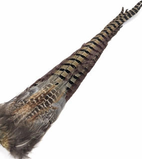 Wapsi Ringneck Pheasant Tail Clumps