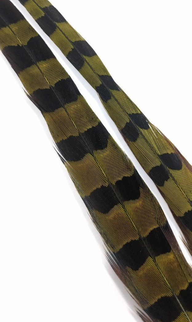 Wapsi Ringneck Pheasant Tail Feathers - 1 pair