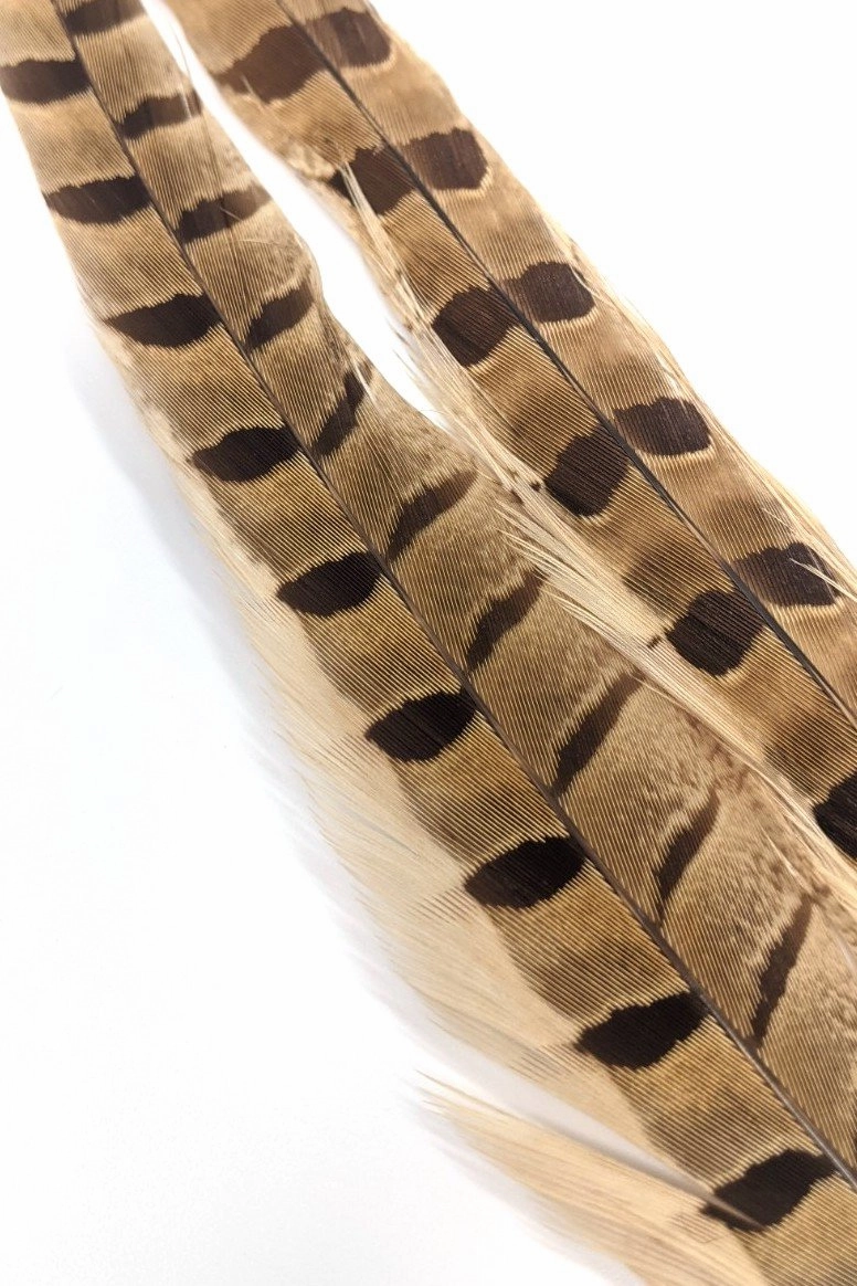 Wapsi Ringneck Pheasant Tail Feathers - 1 pair
