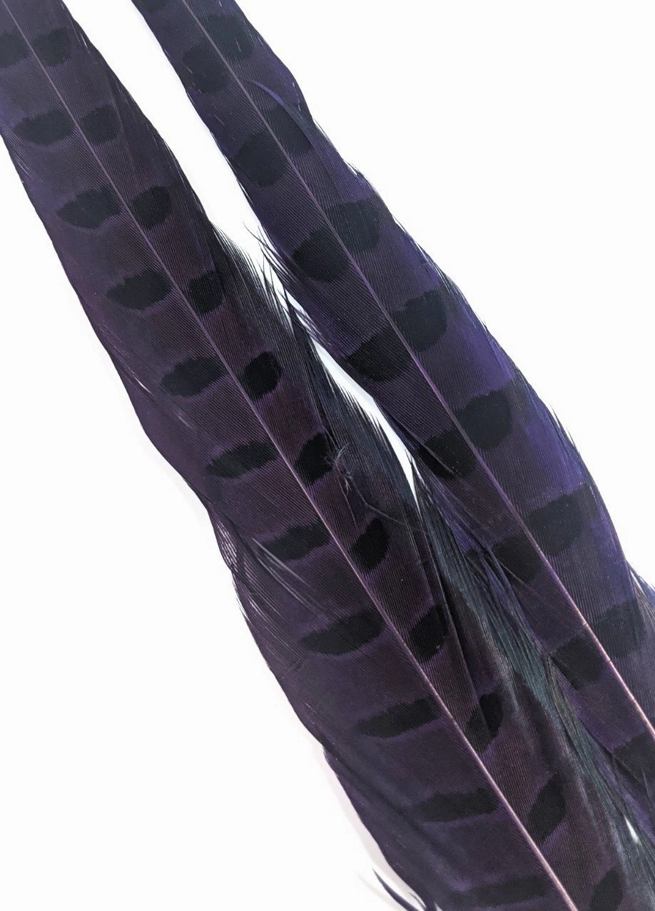 Wapsi Ringneck Pheasant Tail Feathers - 1 pair