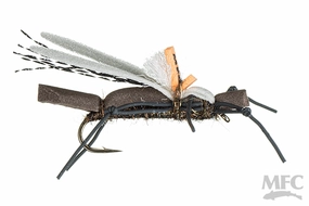 Water Walker- Cranefly