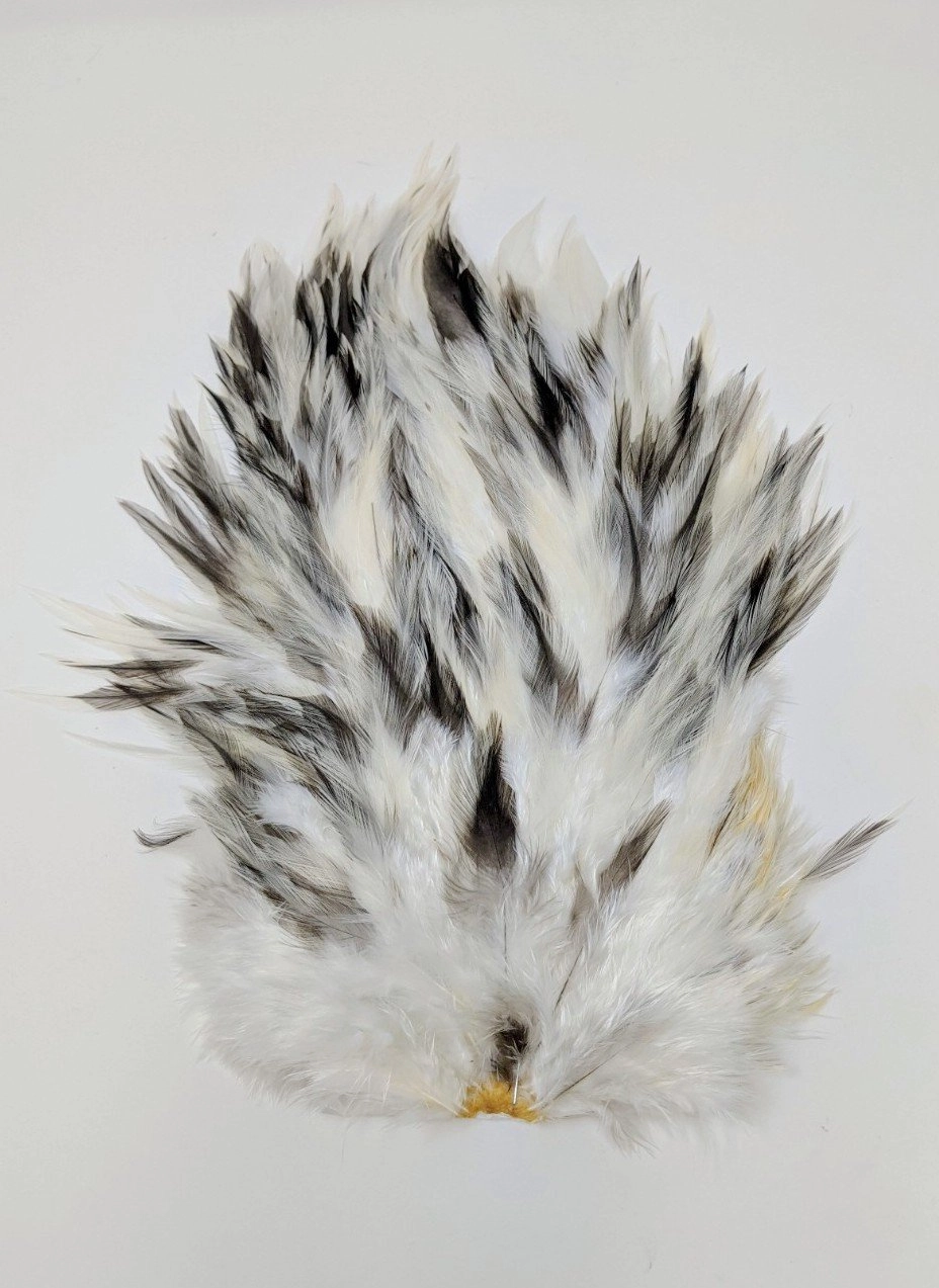Whiting 4 B Rooster Saddle